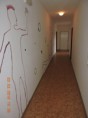 /album/internatni-oddeleni/dscn1421-jpg/