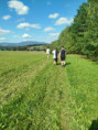/album/fotogalerie-novy-skolni-rok/img-20250908-wa0005-jpg/