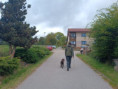 /album/fotogalerie-svp-v-prirode/img-20251008-wa0001-jpg/
