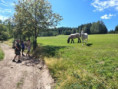 /album/fotogalerie-letni-aktivity/img-20260904-wa0025-jpg/