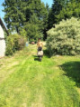 /album/fotogalerie-letni-aktivity/img-20260904-wa0037-jpg/
