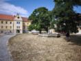 /album/fotogalerie-letni-aktivity/img-20260904-wa0070-jpg/